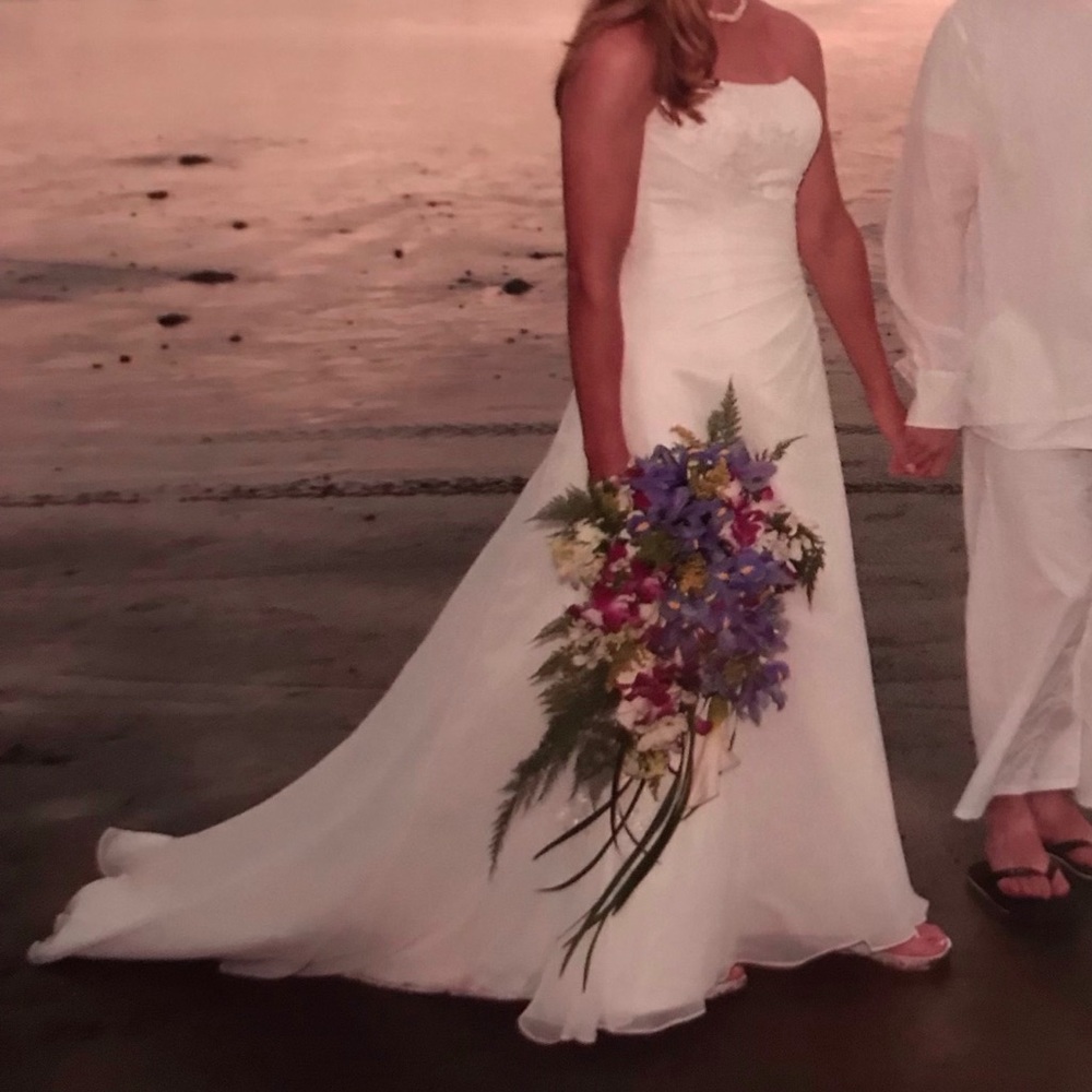 MAGGIE SOTTERO SZ 12 PROF. CLEANED BRIDAL GOWN
